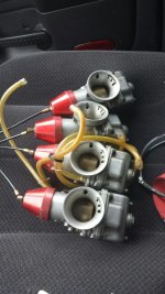 Cone Carbs.jpg
