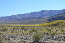 DSC_1078.jpg