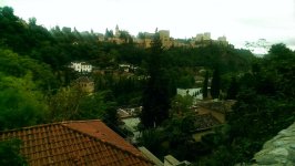 tmp_15879-IMAG1716427647358.jpg