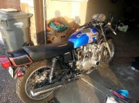 suzuki cafe.jpg