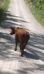 20180703_111448.jpg