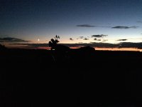 IMG_0202.jpg