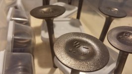 0317162042_HDR.jpg