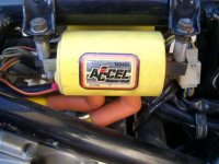 Accel Coils.jpg