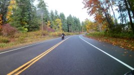 fall day 2 0ct13-2021.jpg