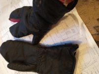 mitten mod.jpg