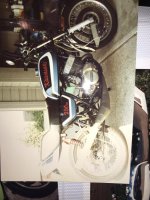IMG_0812[1].jpg
