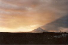 scan0017 copyright.jpg
