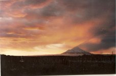 scan0019 copyright.jpg