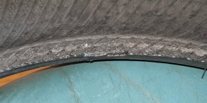 PXL_20220123_160930496.jpg