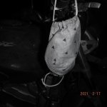 DSCF3987.jpg