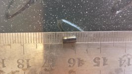 20180408_114317.jpg