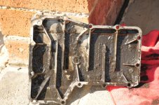 DSC_7321.jpg