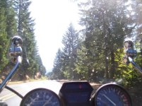 shasta1 003.jpg