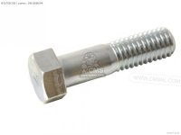 bolt8x30_medium0910008094-01_3100.jpg