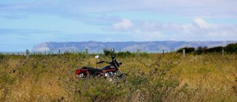 IMG_4571 shpn crop -b+c reize copyright.jpg