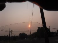 IMG_0954.jpg