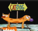 catdog.png
