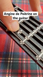frets.jpg - Click image for larger version  Name:	frets.jpg Views:	0 Size:	93.8 KB ID:	1786138