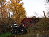 DSCF1829.jpg