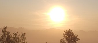 20230918_072207.jpg