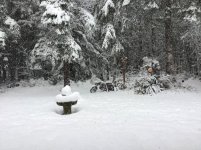 IMG_0736.jpg