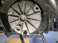 IMG_3561 (1).jpeg