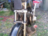 100_2795.JPG