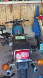 IMG_7154.jpeg