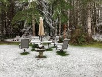 IMG_0297.jpeg