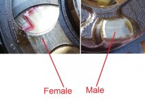 gear male female.jpg