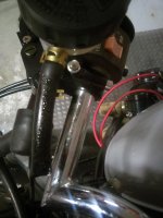 IMAG0179.jpg