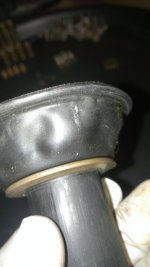 IMAG0168.jpg