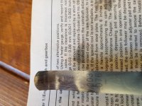 20180628_132340.jpg