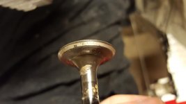 20160511_220210.jpg