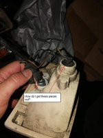 Tail Light.jpg