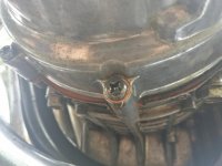 IMG_20170818_172519.jpg