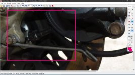 Closeup.jpg