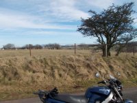 today's ride 8.jpg