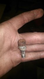 IMAG0278.jpg IMAG0278.jpg