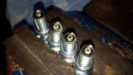 20170830_191229.jpg 20170830_191229.jpg