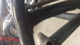 20170201_145126.jpg