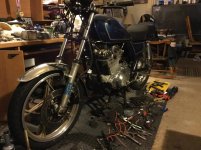 suzuki2.jpg