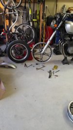 20150922_191117_LLS.jpg