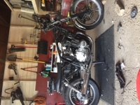 bike 9.jpg