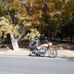 DSCN0713.jpg