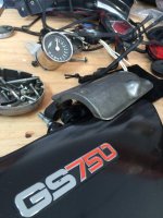 IMG_1524.jpg