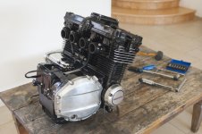 _AMP6572.jpg