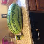 IMG_5659.jpg