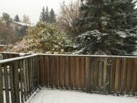 IMG_1084.jpg